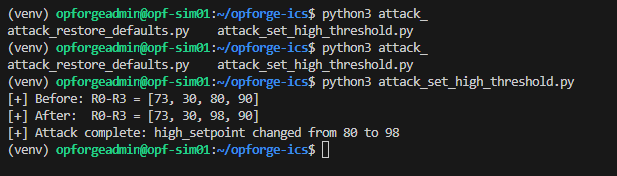 Attack Execution